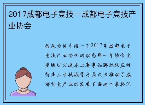 2017成都电子竞技—成都电子竞技产业协会